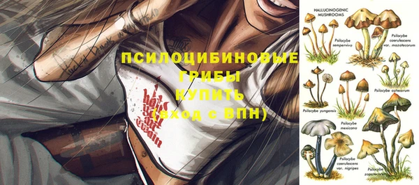 МДПВ Алексин
