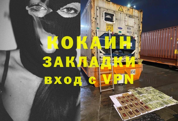 МДПВ Алексин